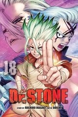 Dr. STONE, Vol. 18 kaina ir informacija | Fantastinės, mistinės knygos | pigu.lt