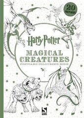 Harry Potter Magical Creatures Postcard Colouring Book: 20 postcards to colour kaina ir informacija | Knygos mažiesiems | pigu.lt