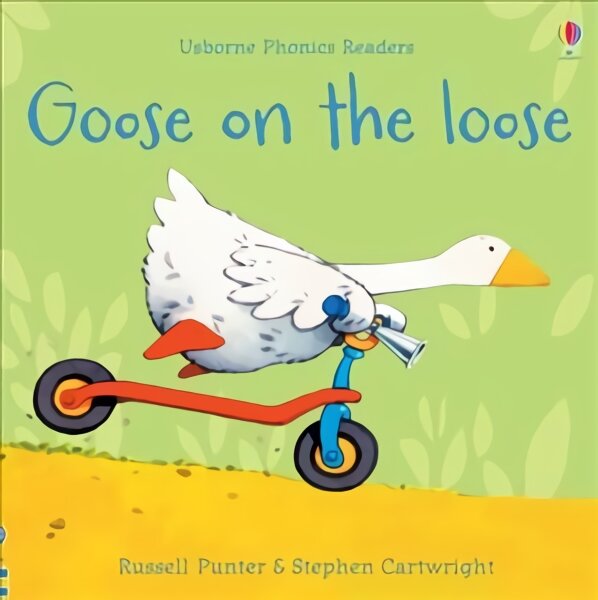 Goose on the loose цена и информация | Knygos paaugliams ir jaunimui | pigu.lt