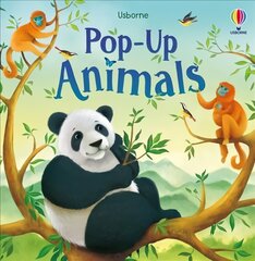 Pop-Up Animals цена и информация | Книги для малышей | pigu.lt