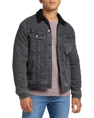 Курткa Lee L87HSZ01-L цена и информация | Мужские куртки | pigu.lt