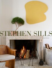 Stephen Sills: A Vision for Design kaina ir informacija | Knygos apie architektūrą | pigu.lt