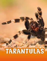 Tarantulas kaina ir informacija | Knygos paaugliams ir jaunimui | pigu.lt