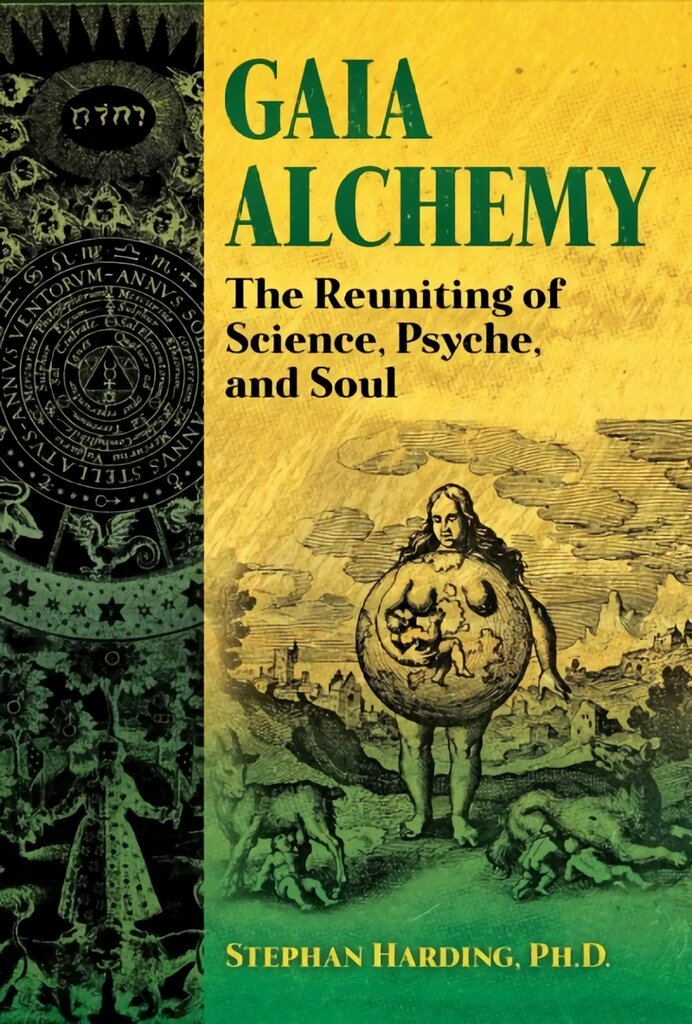 Gaia Alchemy: The Reuniting of Science, Psyche, and Soul kaina ir informacija | Dvasinės knygos | pigu.lt