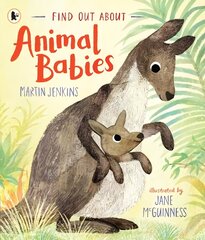 Find Out About ... Animal Babies цена и информация | Книги для подростков и молодежи | pigu.lt