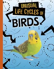 Unusual Life Cycles of Birds цена и информация | Книги для подростков и молодежи | pigu.lt
