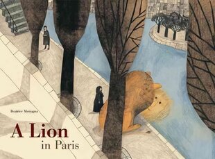 Lion in Paris цена и информация | Книги для самых маленьких | pigu.lt