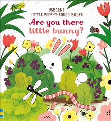 Are you there little Bunny UK 2017 цена и информация | Книги для малышей | pigu.lt