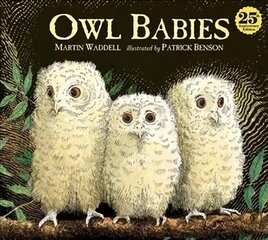 Owl Babies kaina ir informacija | Knygos mažiesiems | pigu.lt