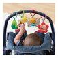 Žaidimų kilimėlis Vtech Baby 80-190605, spalvotas kaina ir informacija | Žaislai kūdikiams | pigu.lt