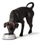 Šunų maisto dubenėlis Hunter, 160 ml kaina ir informacija | Dubenėliai, dėžės maistui | pigu.lt