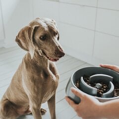 Šunų maisto dubenėlis Hunter, 550 ml kaina ir informacija | Dubenėliai, dėžės maistui | pigu.lt