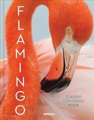 Flamingo цена и информация | Книги по фотографии | pigu.lt