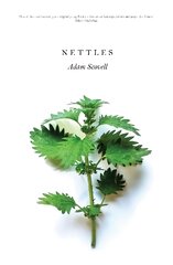 Nettles kaina ir informacija | Fantastinės, mistinės knygos | pigu.lt