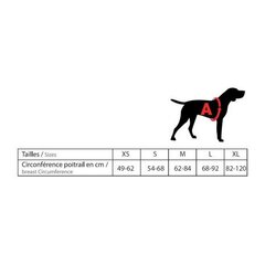 Petnešos šunims Dog, pilkos, M цена и информация | Ошейники, подтяжки для собак | pigu.lt