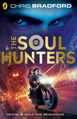 Soul Hunters цена и информация | Книги для подростков и молодежи | pigu.lt