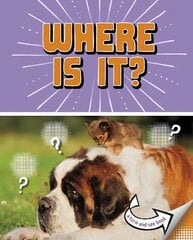 Where Is It?: A Turn-and-See Book цена и информация | Книги для подростков  | pigu.lt