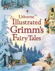 Illustrated Grimm's Fairy Tales New edition цена и информация | Книги для подростков  | pigu.lt