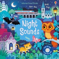 Night Sounds цена и информация | Книги для самых маленьких | pigu.lt