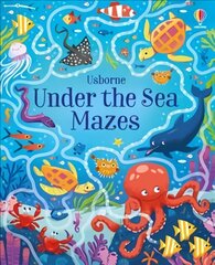Under the Sea Mazes kaina ir informacija | Knygos mažiesiems | pigu.lt