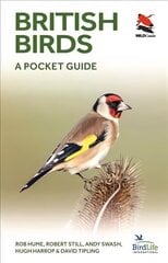 British Birds: A Pocket Guide цена и информация | Книги о питании и здоровом образе жизни | pigu.lt