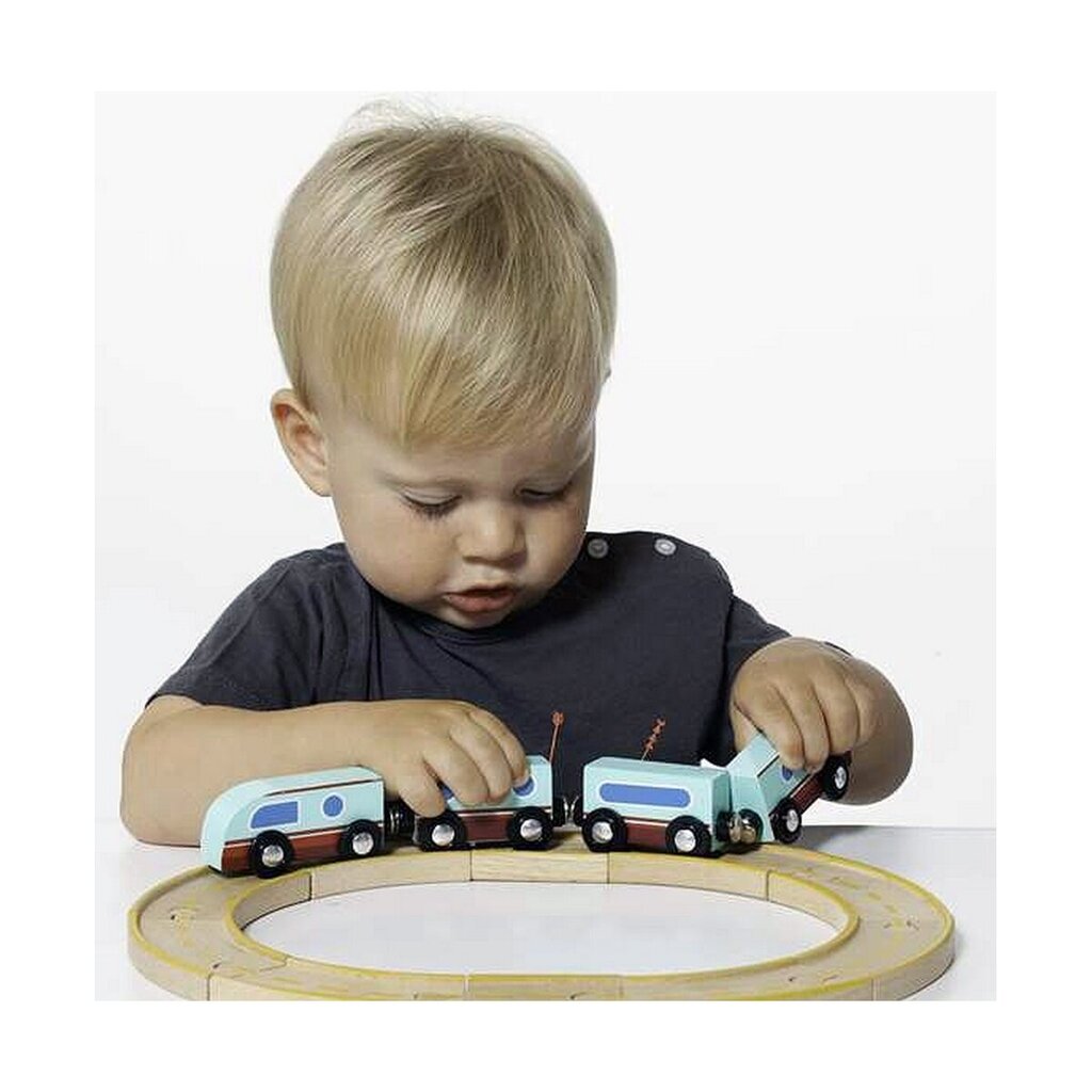 medinė traukinuko trasa Moltó 14 vnt цена и информация | Žaislai kūdikiams | pigu.lt