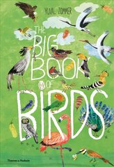 Big Book of Birds цена и информация | Книги для подростков  | pigu.lt