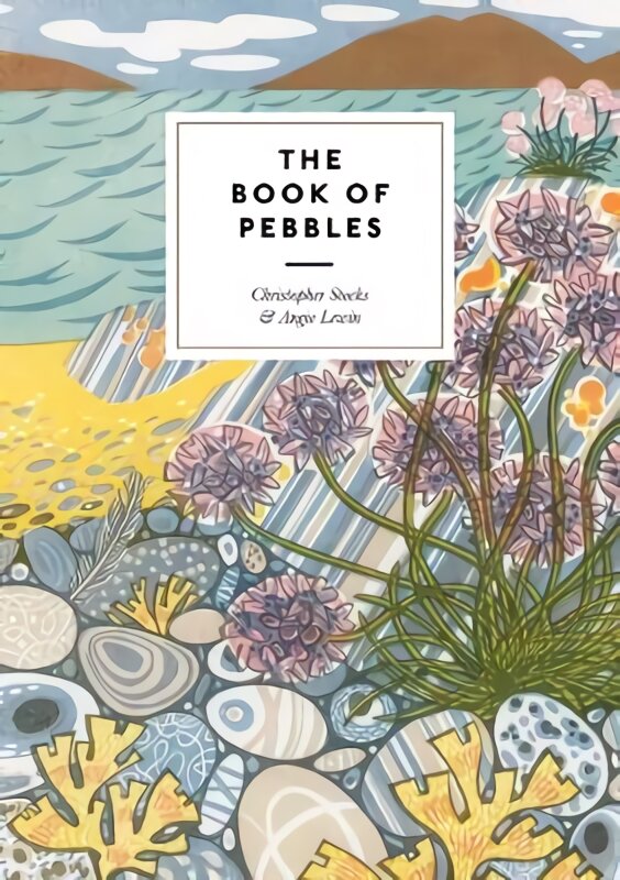 Book of Pebbles: The perfect seaside and armchair companion to the pebbles of the British Isles цена и информация | Knygos apie meną | pigu.lt