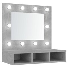 Veidrodinė spintelė su led, betono pilka, 60x31,5x62cm kaina ir informacija | Vonios spintelės | pigu.lt