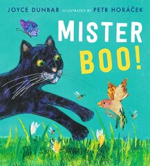 Mister Boo! цена и информация | Книги для самых маленьких | pigu.lt