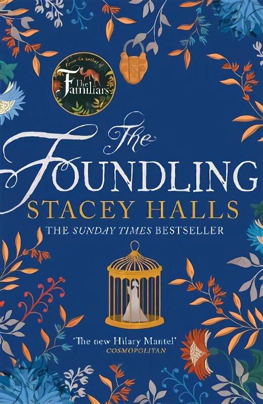 Foundling: The gripping Sunday Times bestselling novel from the winner of the Women's Prize Futures award цена и информация | Fantastinės, mistinės knygos | pigu.lt