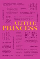 Little Princess цена и информация | Fantastinės, mistinės knygos | pigu.lt