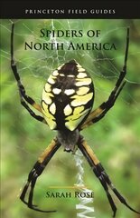 Spiders of North America kaina ir informacija | Knygos apie sveiką gyvenseną ir mitybą | pigu.lt