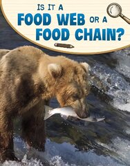 Is It a Food Web or a Food Chain? цена и информация | Книги для подростков и молодежи | pigu.lt