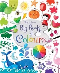 Big Book of Colours UK kaina ir informacija | Knygos mažiesiems | pigu.lt