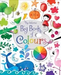 Big Book of Colours UK цена и информация | Книги для самых маленьких | pigu.lt