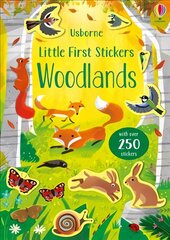 Little First Stickers Woodlands цена и информация | Книги для малышей | pigu.lt