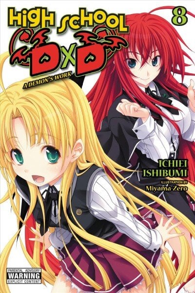 High School DxD, Vol. 8 (light novel) цена и информация | Fantastinės, mistinės knygos | pigu.lt