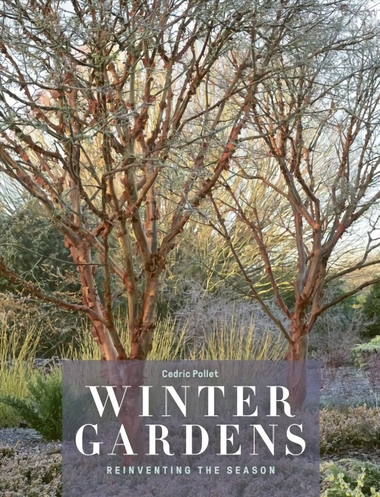 Winter Gardens: Reinventing the Season цена и информация | Knygos apie sodininkystę | pigu.lt