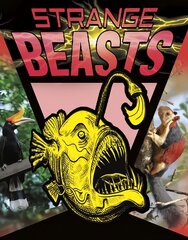 Strange Beasts цена и информация | Книги для подростков и молодежи | pigu.lt