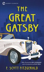 Great Gatsby цена и информация | Фантастика, фэнтези | pigu.lt
