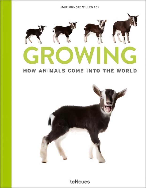 Growing: How animals come into our world kaina ir informacija | Fotografijos knygos | pigu.lt