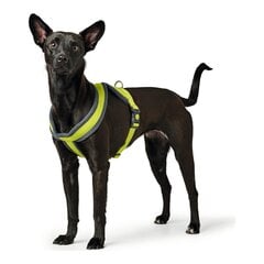 Упряжь для собак Hunter London Comfort XS-S 39-47 cm лимонный цена и информация | Ошейники, подтяжки для собак | pigu.lt