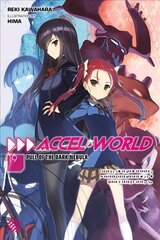 Accel World, Vol. 19 (light novel) kaina ir informacija | Knygos paaugliams ir jaunimui | pigu.lt