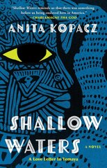 Shallow Waters: A Novel kaina ir informacija | Fantastinės, mistinės knygos | pigu.lt