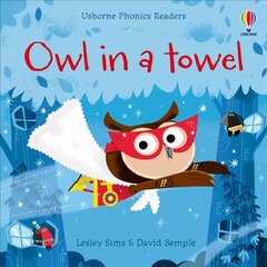 Owl in a Towel цена и информация | Книги для подростков и молодежи | pigu.lt