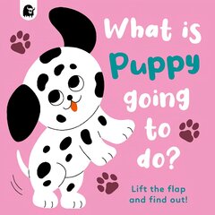 What is Puppy Going to Do?, Volume 4 цена и информация | Книги для самых маленьких | pigu.lt