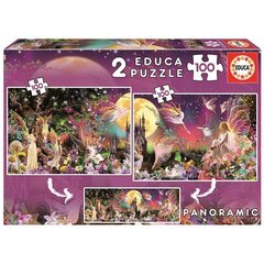 Dėlionė Educa Fėjos ir elfai kaina ir informacija | Dėlionės (puzzle) | pigu.lt