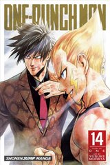 One-Punch Man, Vol. 14 цена и информация | Fantastinės, mistinės knygos | pigu.lt