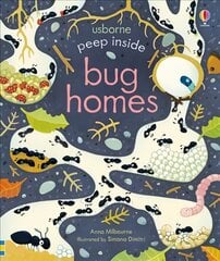 Peep Inside Bug Homes kaina ir informacija | Knygos mažiesiems | pigu.lt